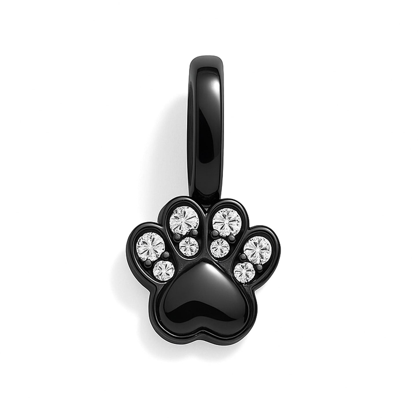 Charm - Paw